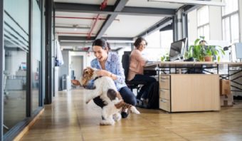 Businesswoman playing with dog at creative office